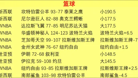 世界杯，足球世界杯， 103135